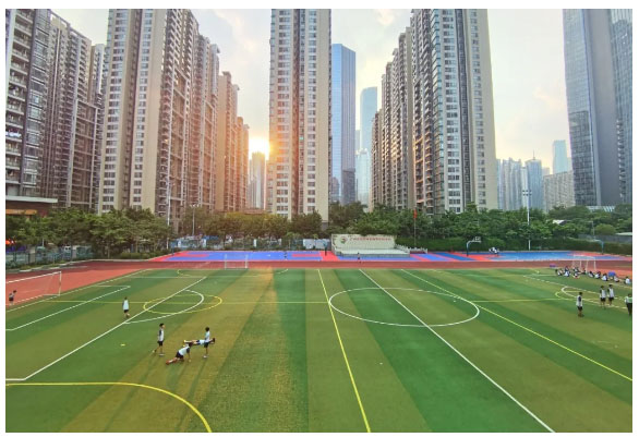 �PԽ�w���C���WУ�\������